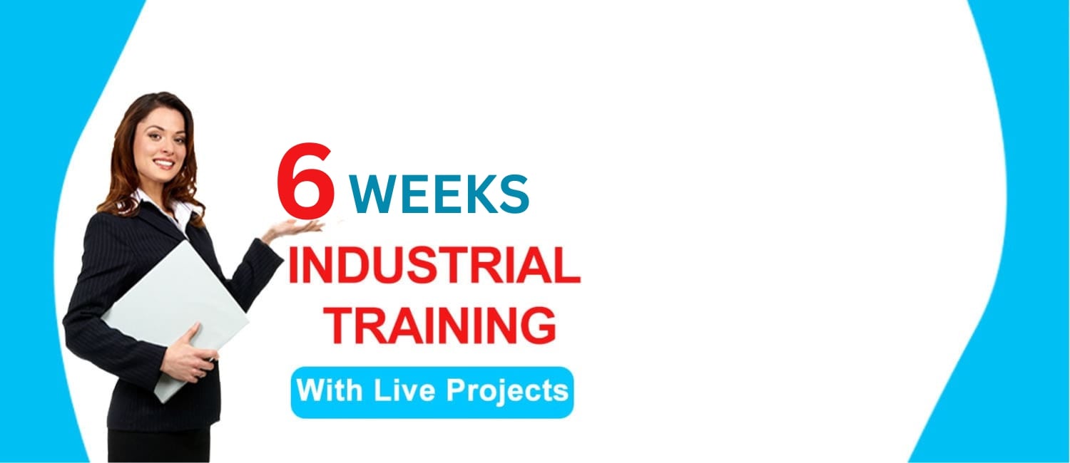 6 week professional course Jalandhar